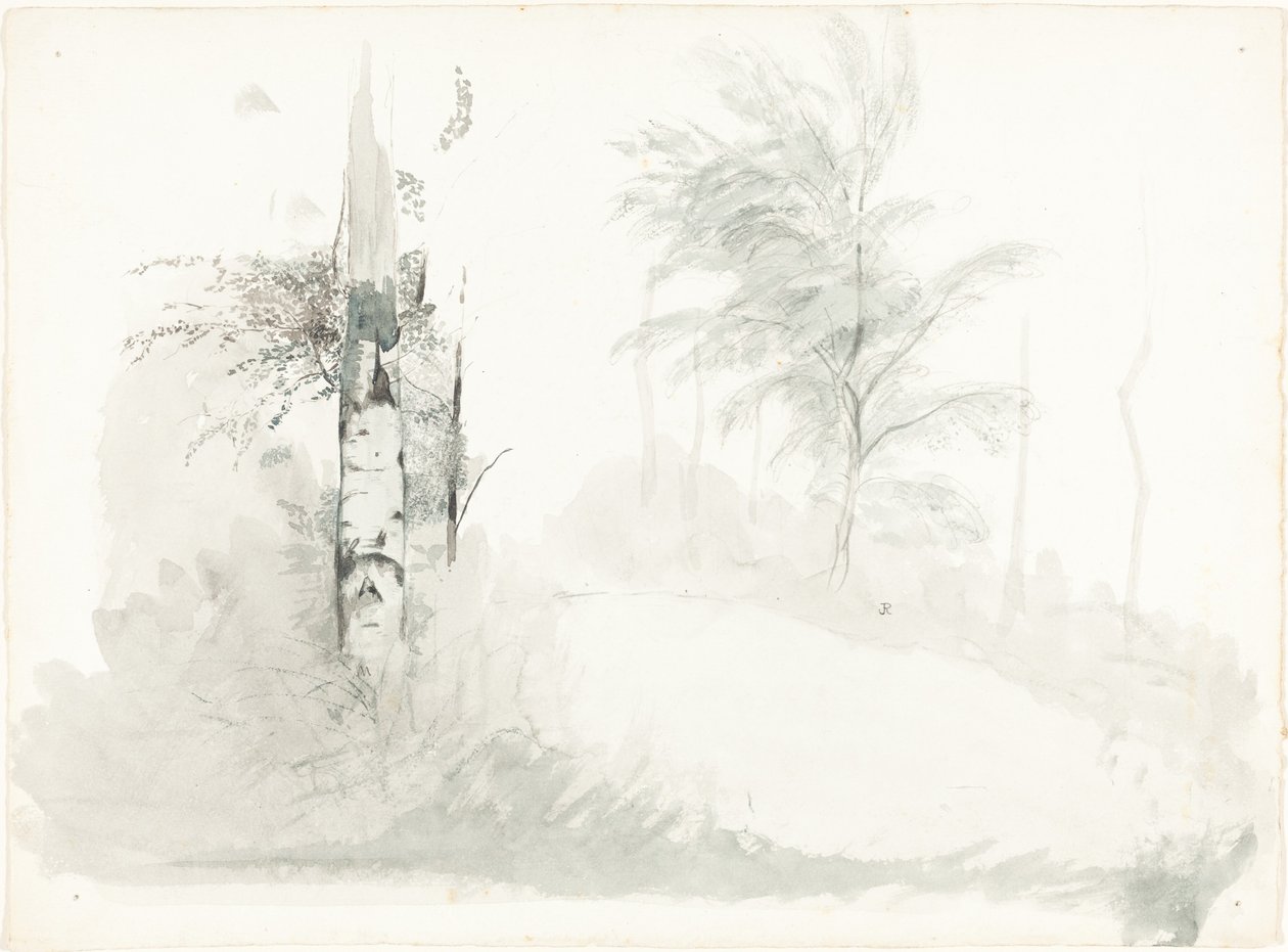 Estudio de Árbol de John Ruskin