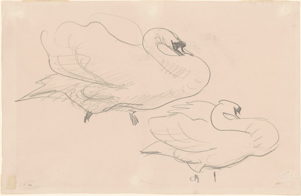 Estudios de un cisne de John Singer Sargent