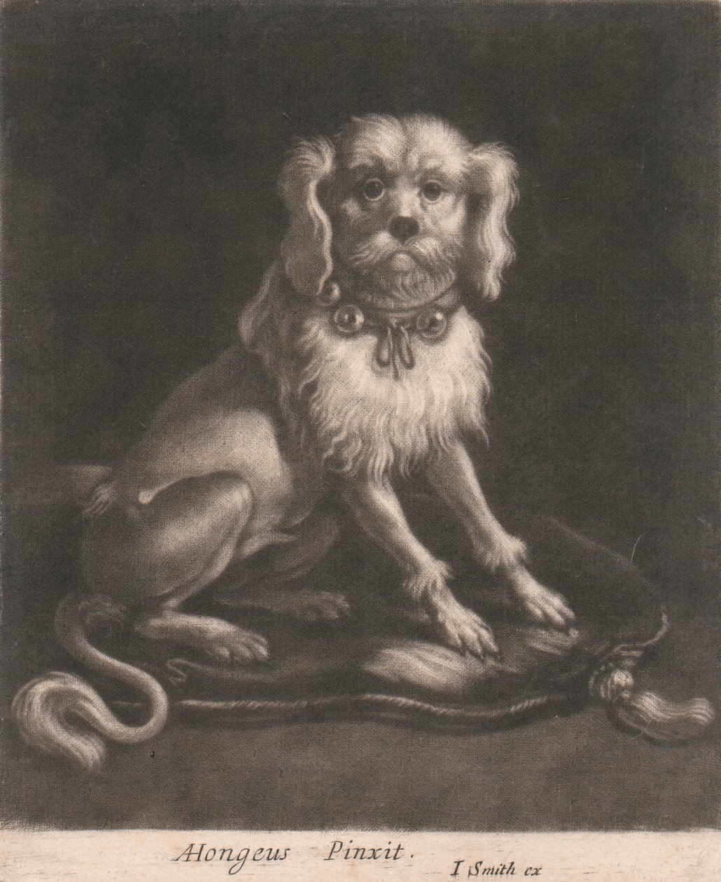 Un perro pequeño, con collar. de John Smith