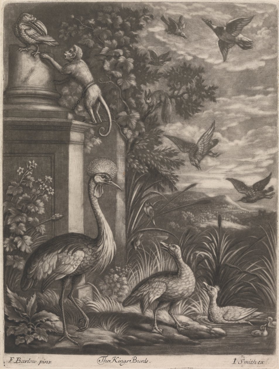 Los Reyes Pájaros de John Smith