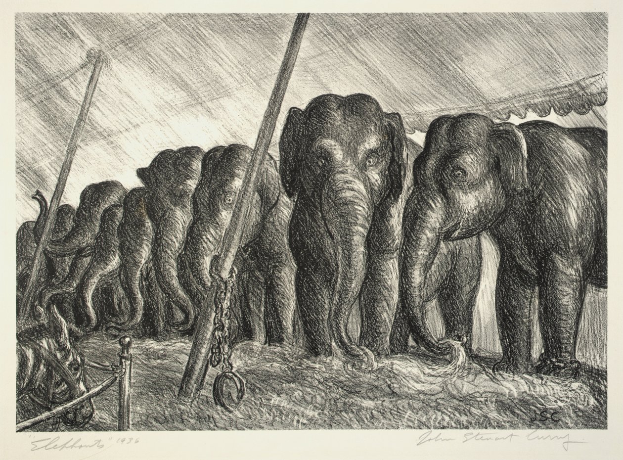 Elefantes de circo de John Steuart Curry