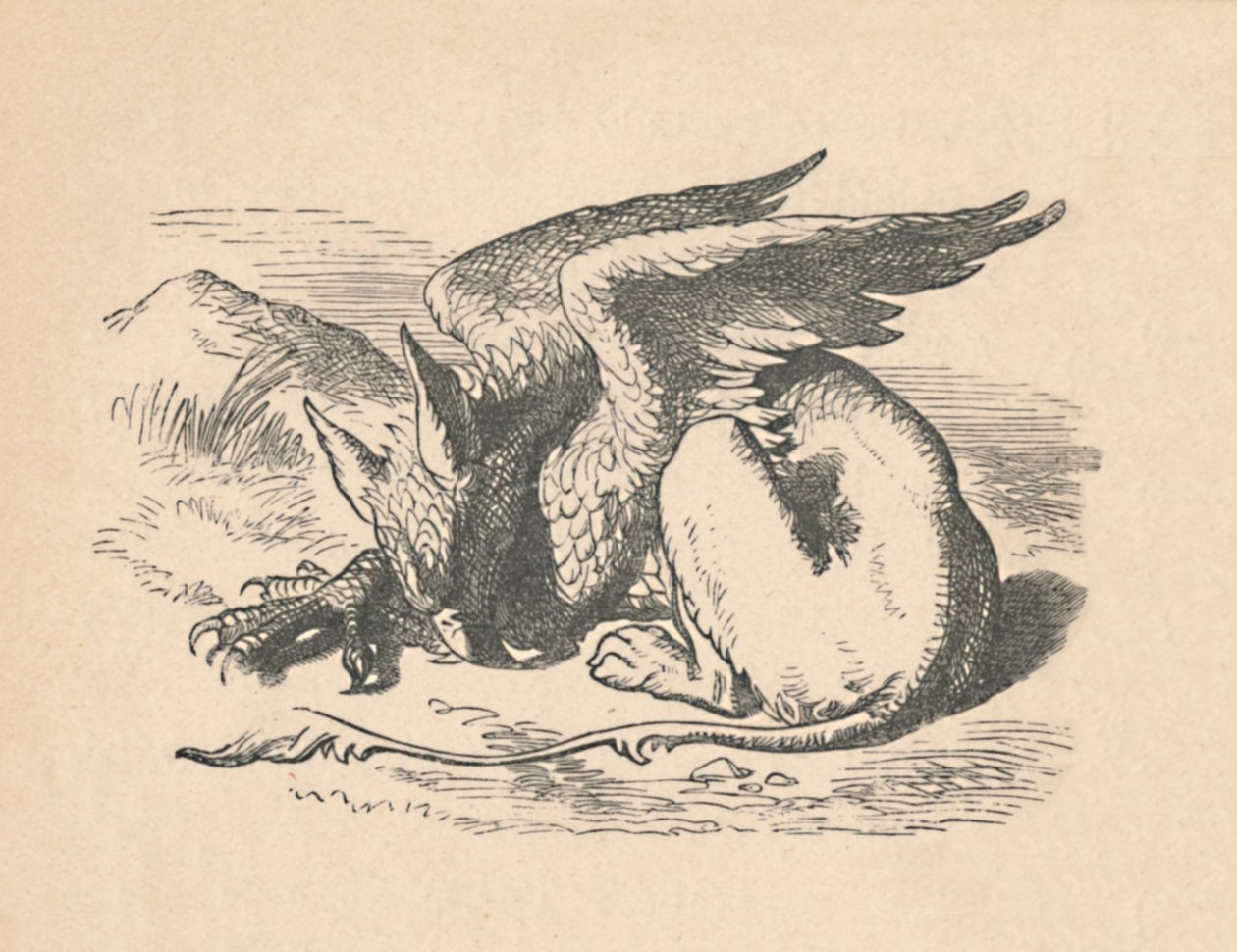 El grifo dormido al sol, 1889 de John Tenniel