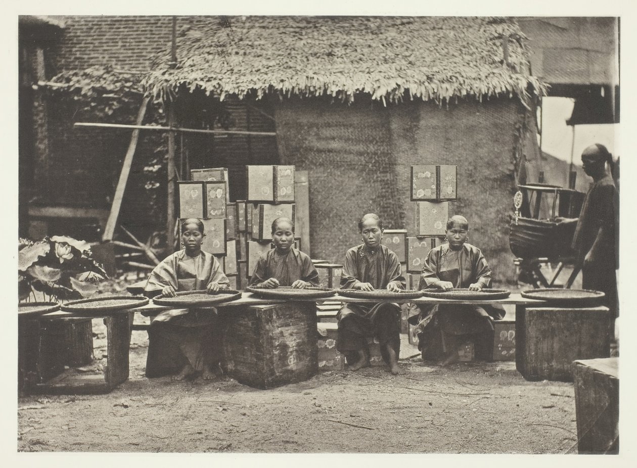 Recolección de té en Cantón de John Thomson