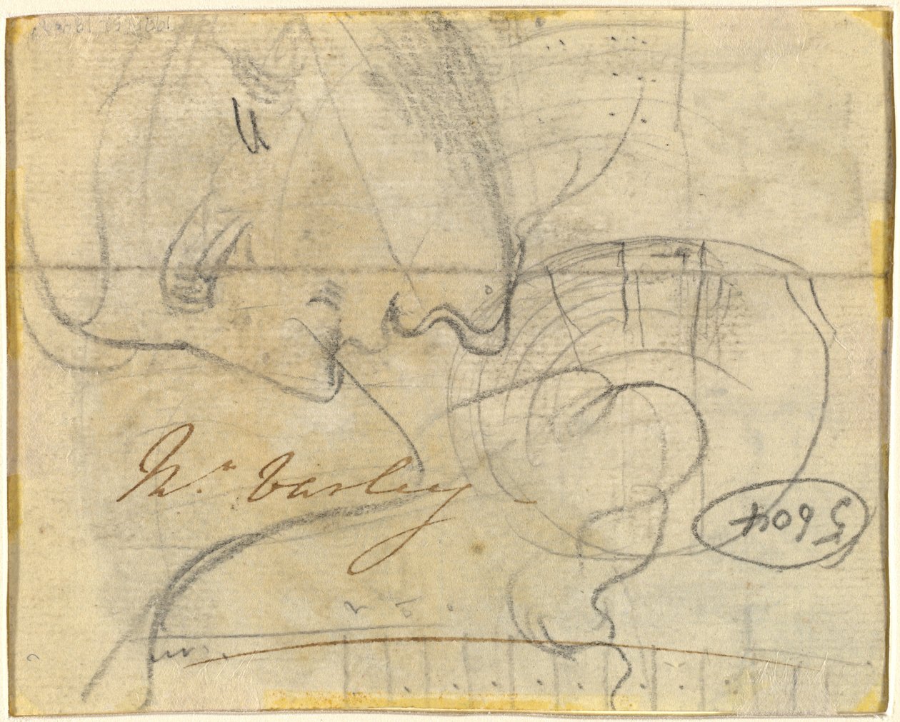 Estudio de una Cabeza en Perfil (verso) de John Varley