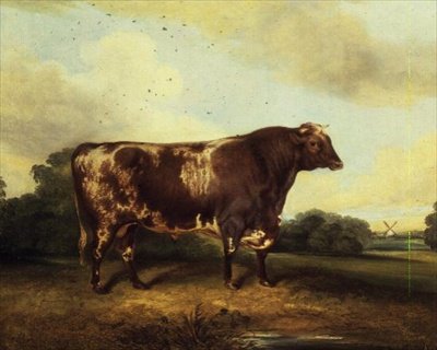 Toro Marrón y Blanco en el Paisaje de John Vine