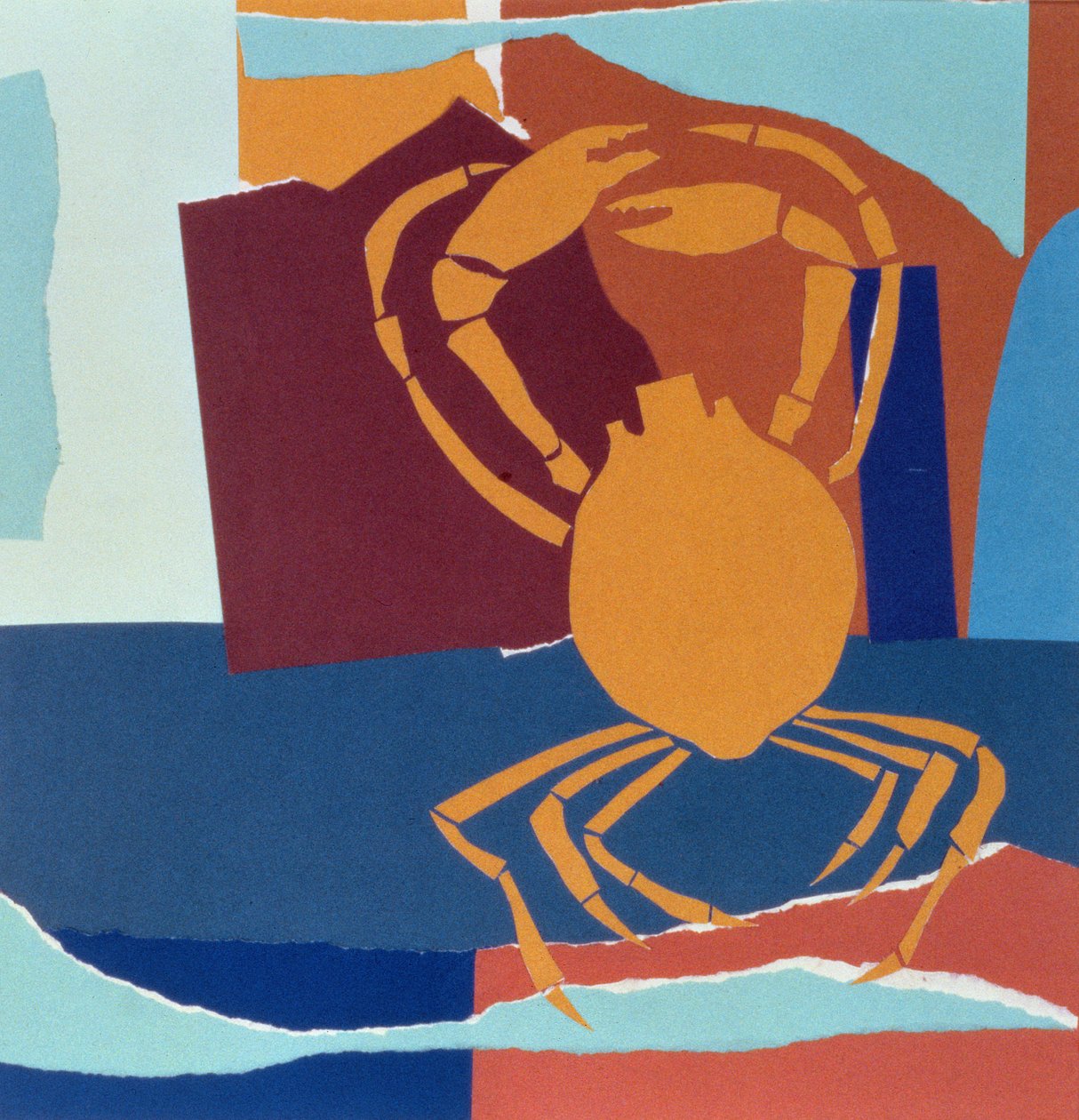 Cangrejo Araña de John Wallington