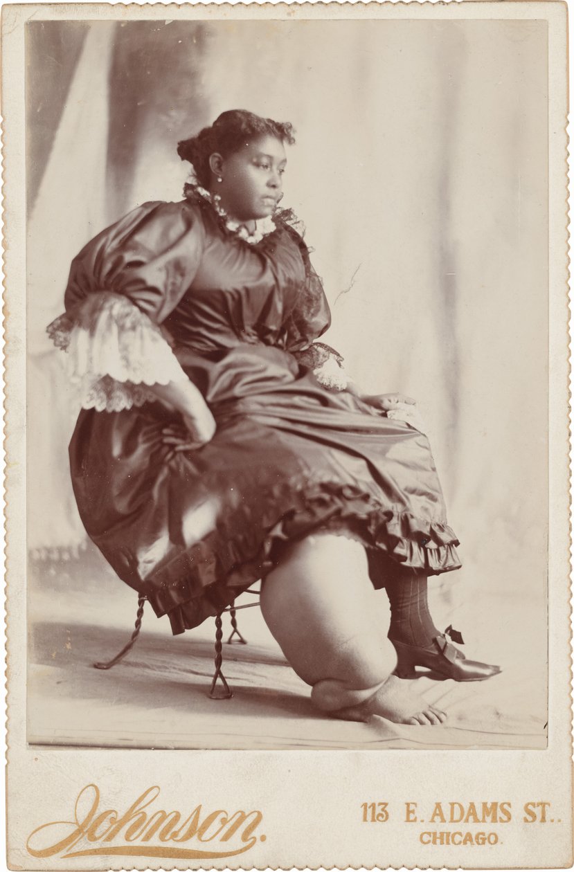 Retrato de mujer,c. 1890 (foto) de Johnson