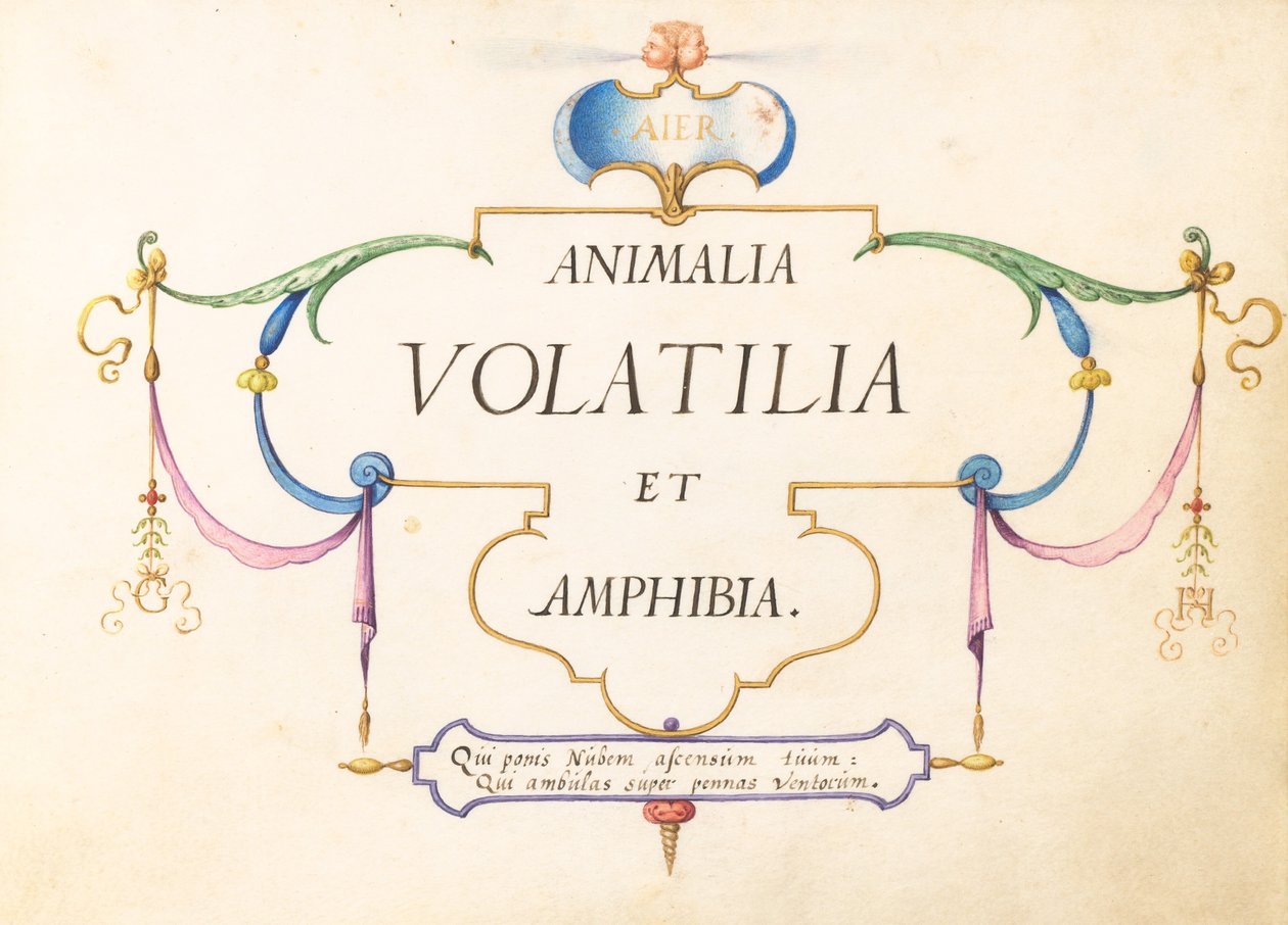 Página de Título de Joris Hoefnagel