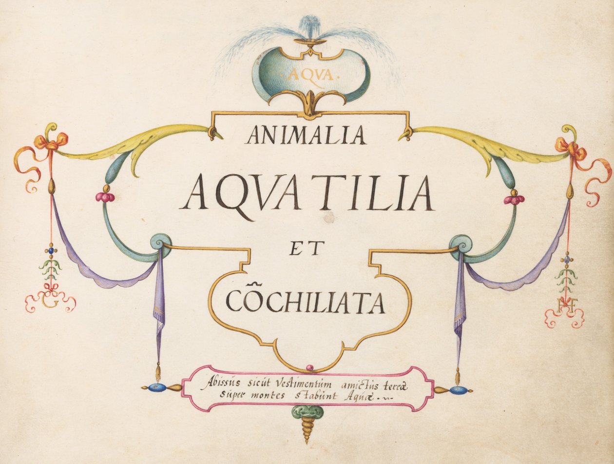 Página de Título de Joris Hoefnagel
