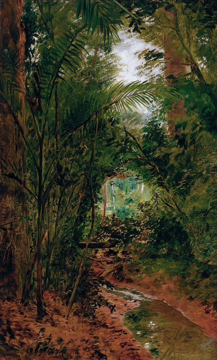 Paisaje en el Río das Pedras de Jose Ferraz Almeida de Junior
