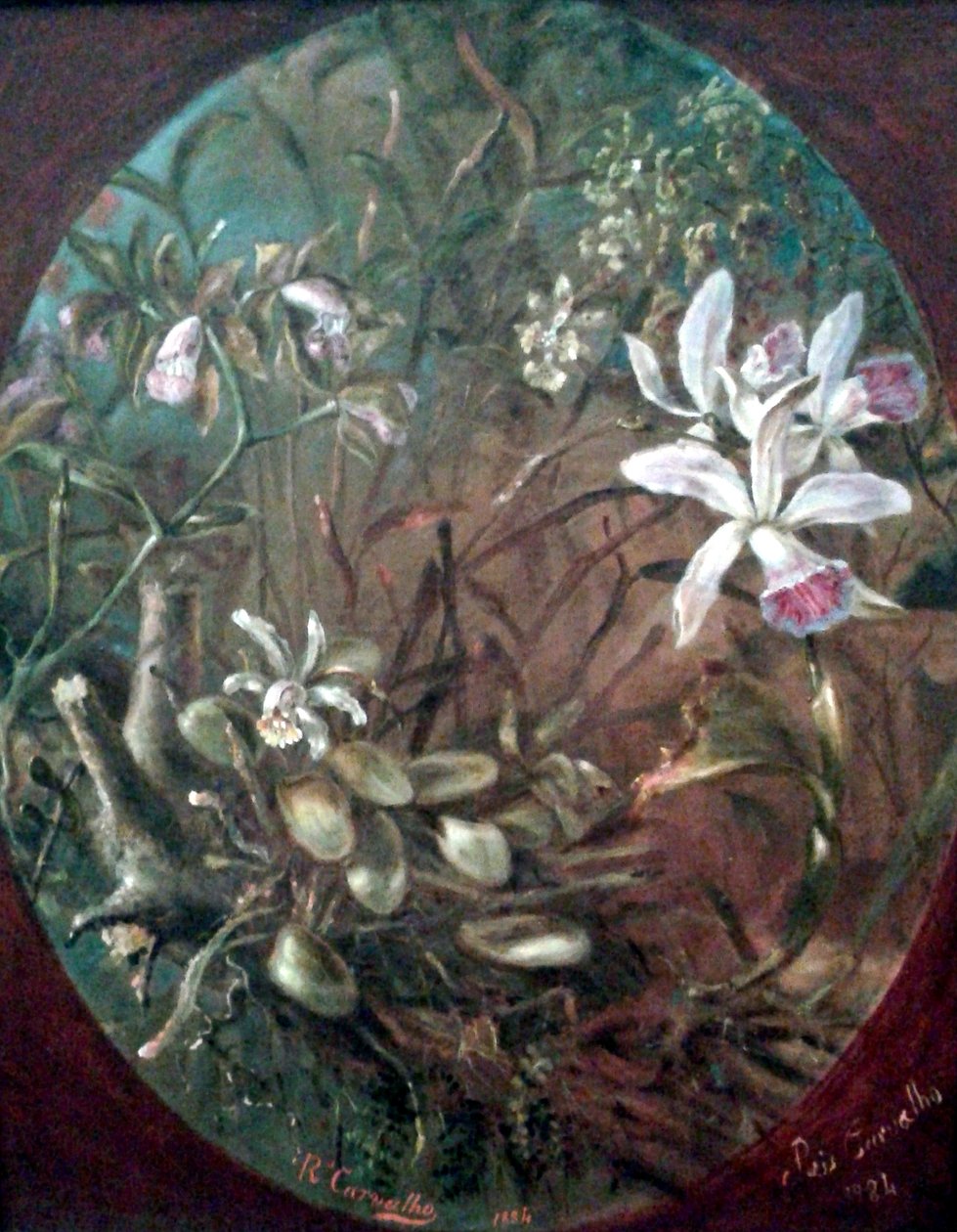 Parásitos de Jose dos Reis Carvalho