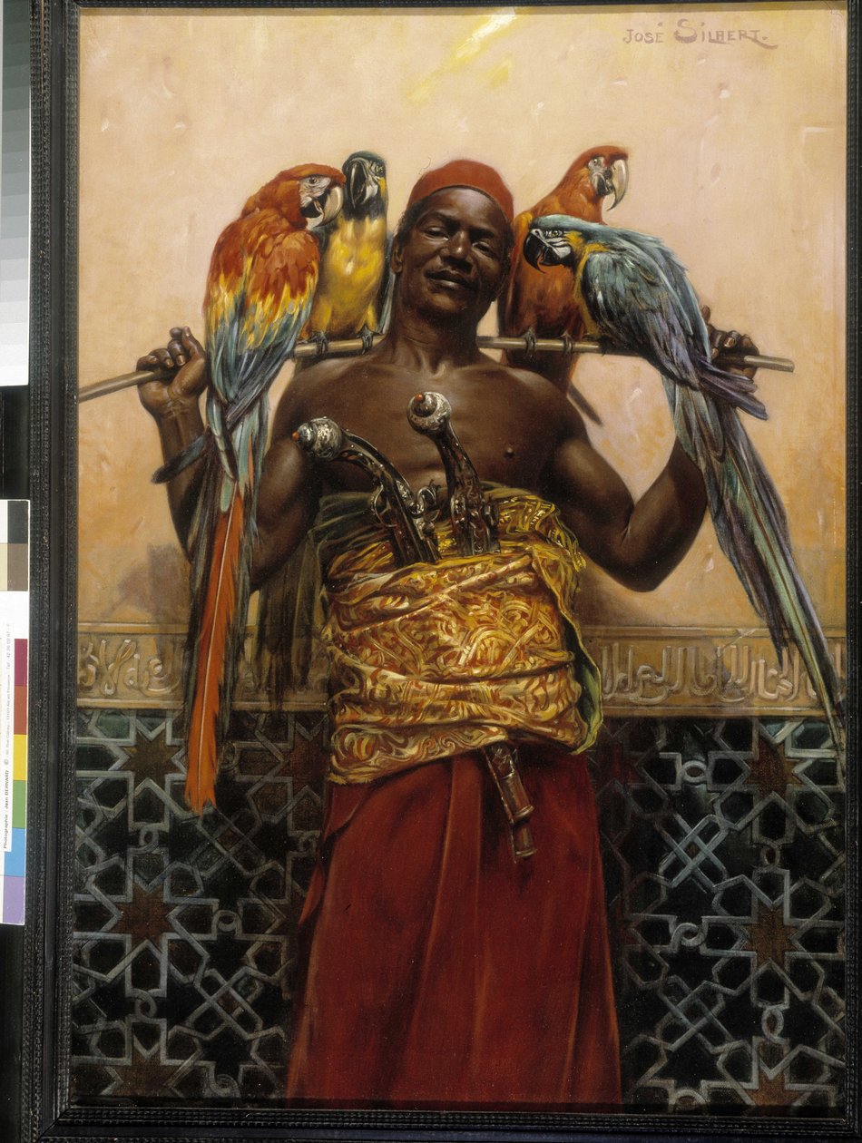 Cacates Montreker (óleo sobre lienzo) de Jose Silbert