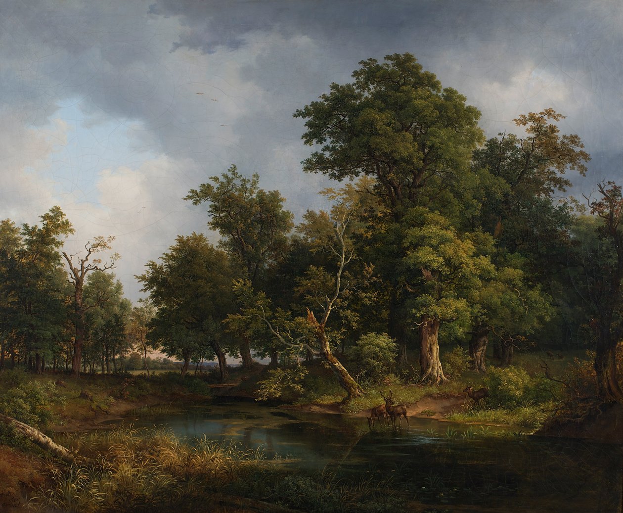 paisaje forestal de Josef Feid