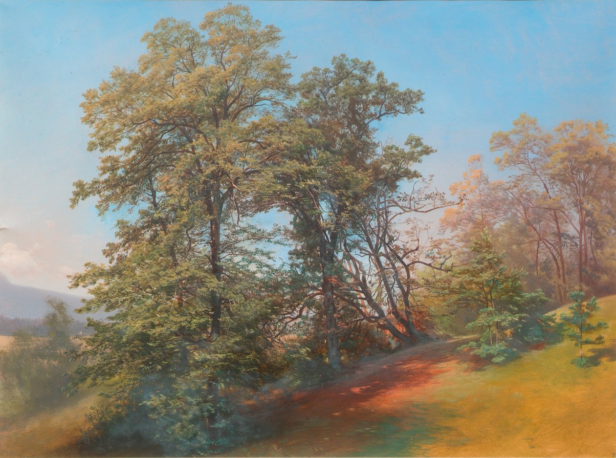 Grupo de árboles en el Mönchsberg en Salzburgo de Josef Holzer