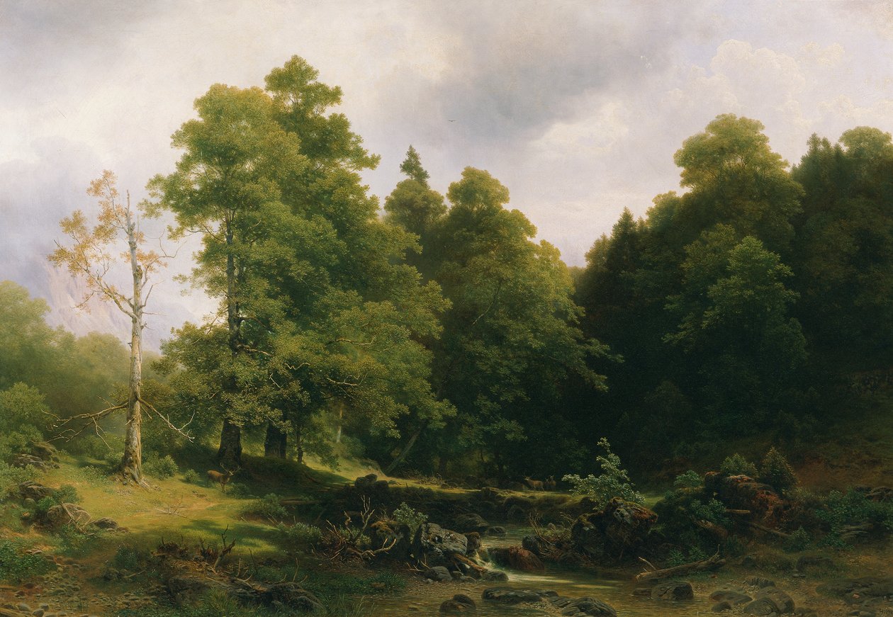 El rincón tranquilo del bosque. de Josef Holzer