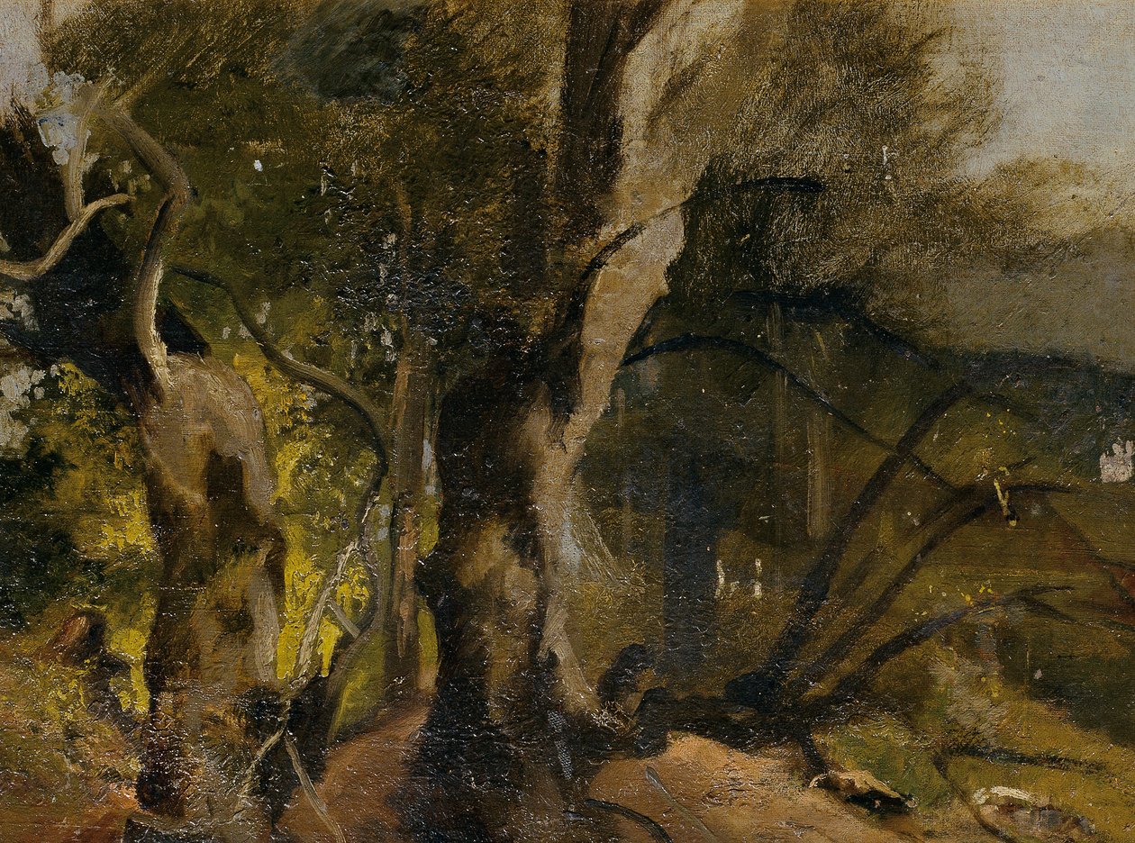 Waldstudie de Josef Navrátil