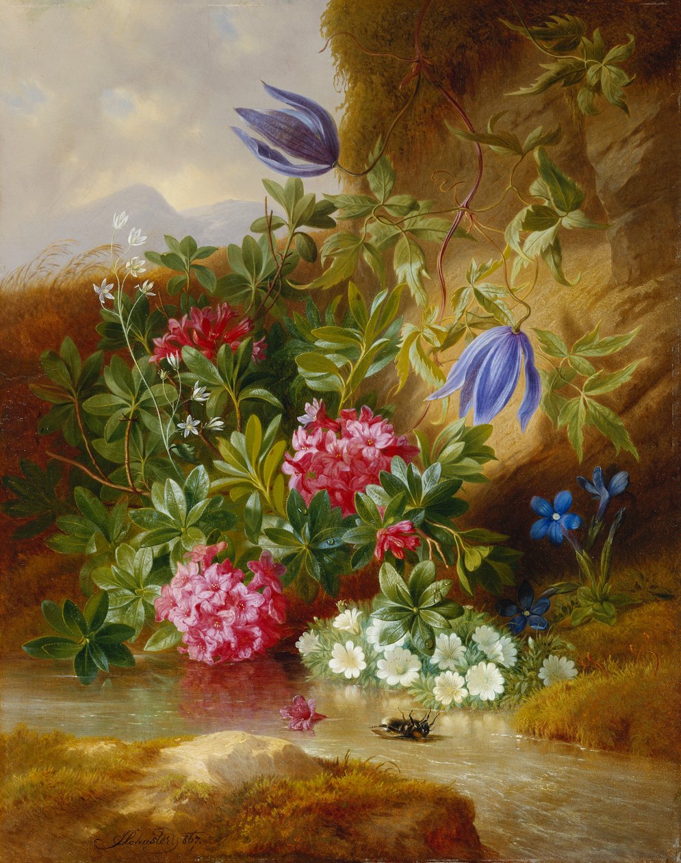 Alpenblum de Josef Schuster