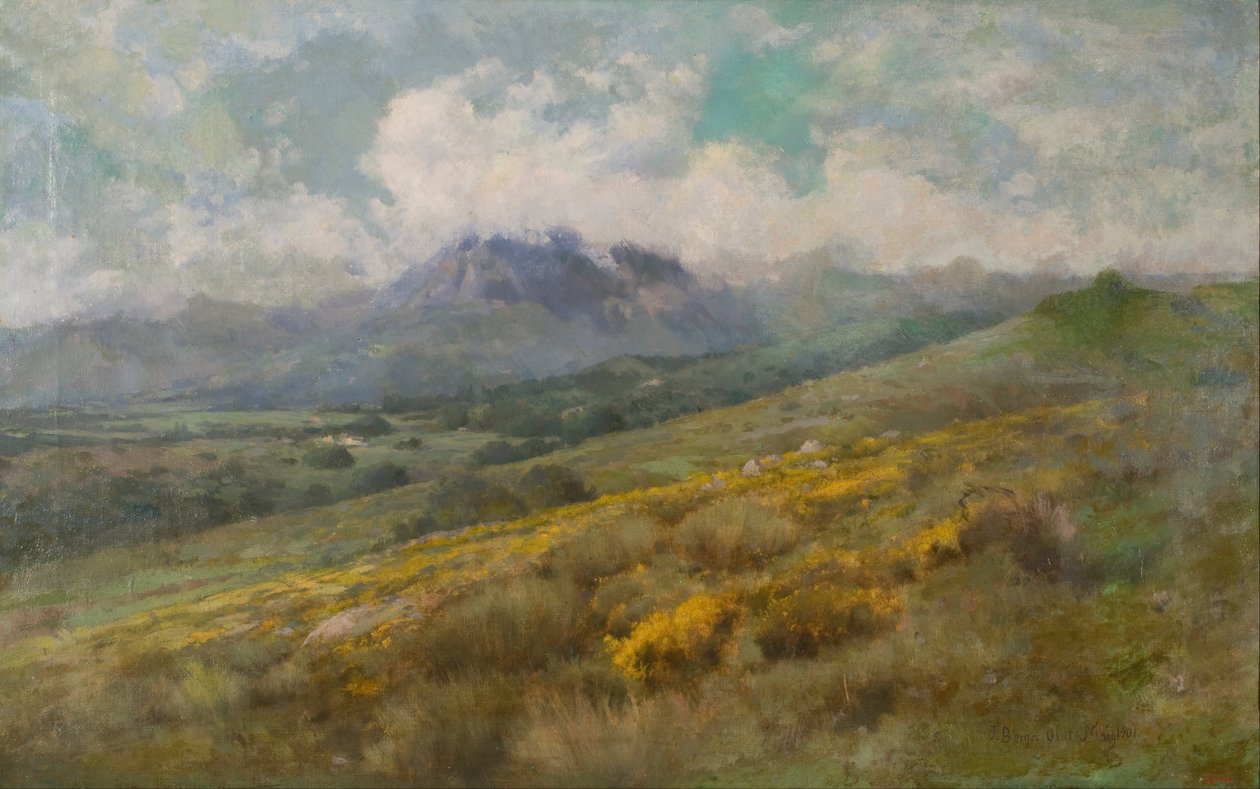 Paisaje de Josep Berga Boix