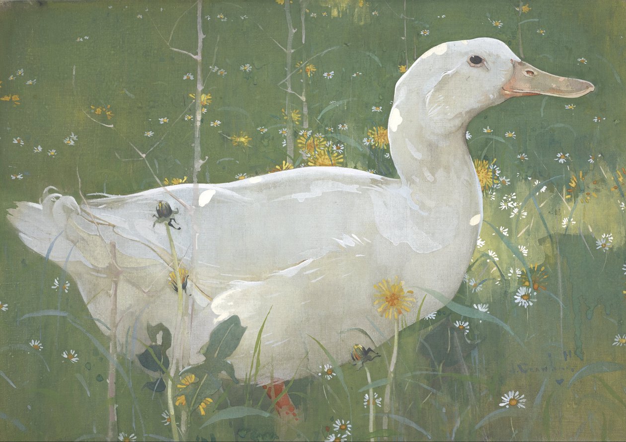 El pato blanco de Joseph Crawhall