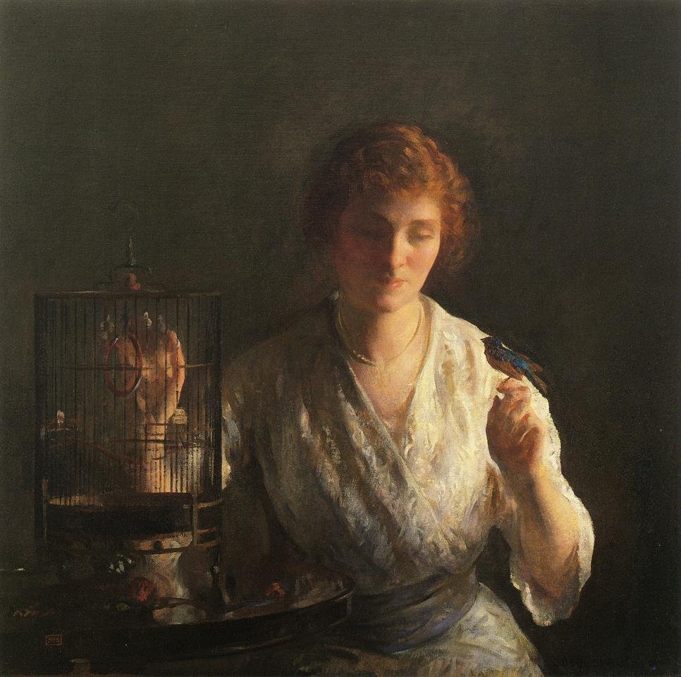 Pájaro azul de Joseph DeCamp