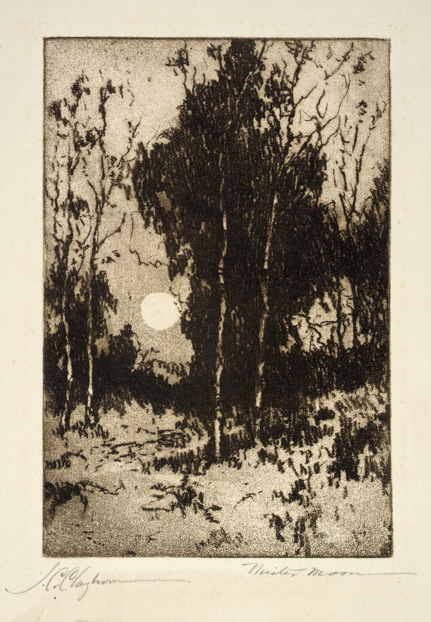 Sr. Moon de Joseph C. Claghorn