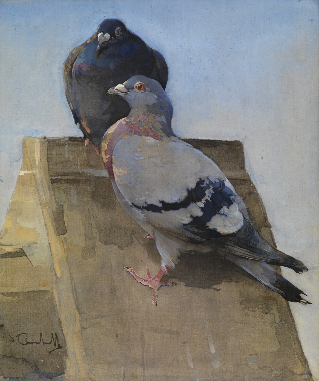 Palomas en el tejado (gouache sobre lino) de Joseph Crawhall