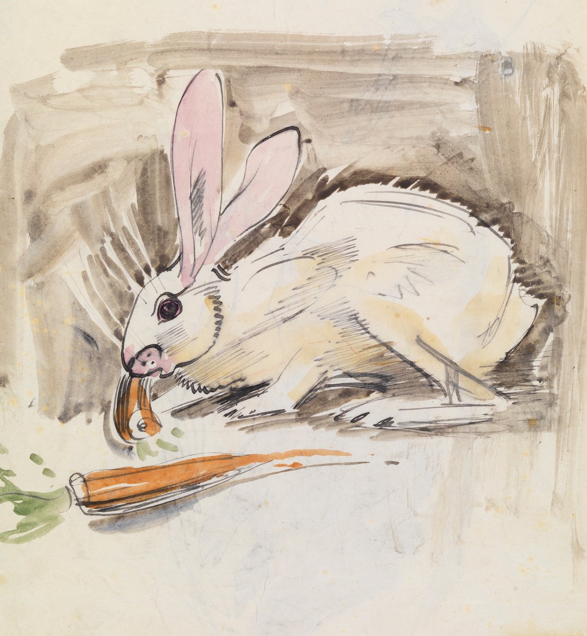 Conejo (pluma y aguada sobre papel) de Joseph Crawhall