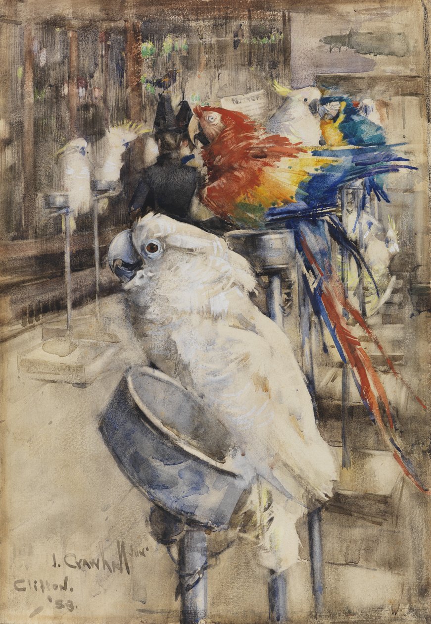 La pajarera, Clifton de Joseph Crawhall