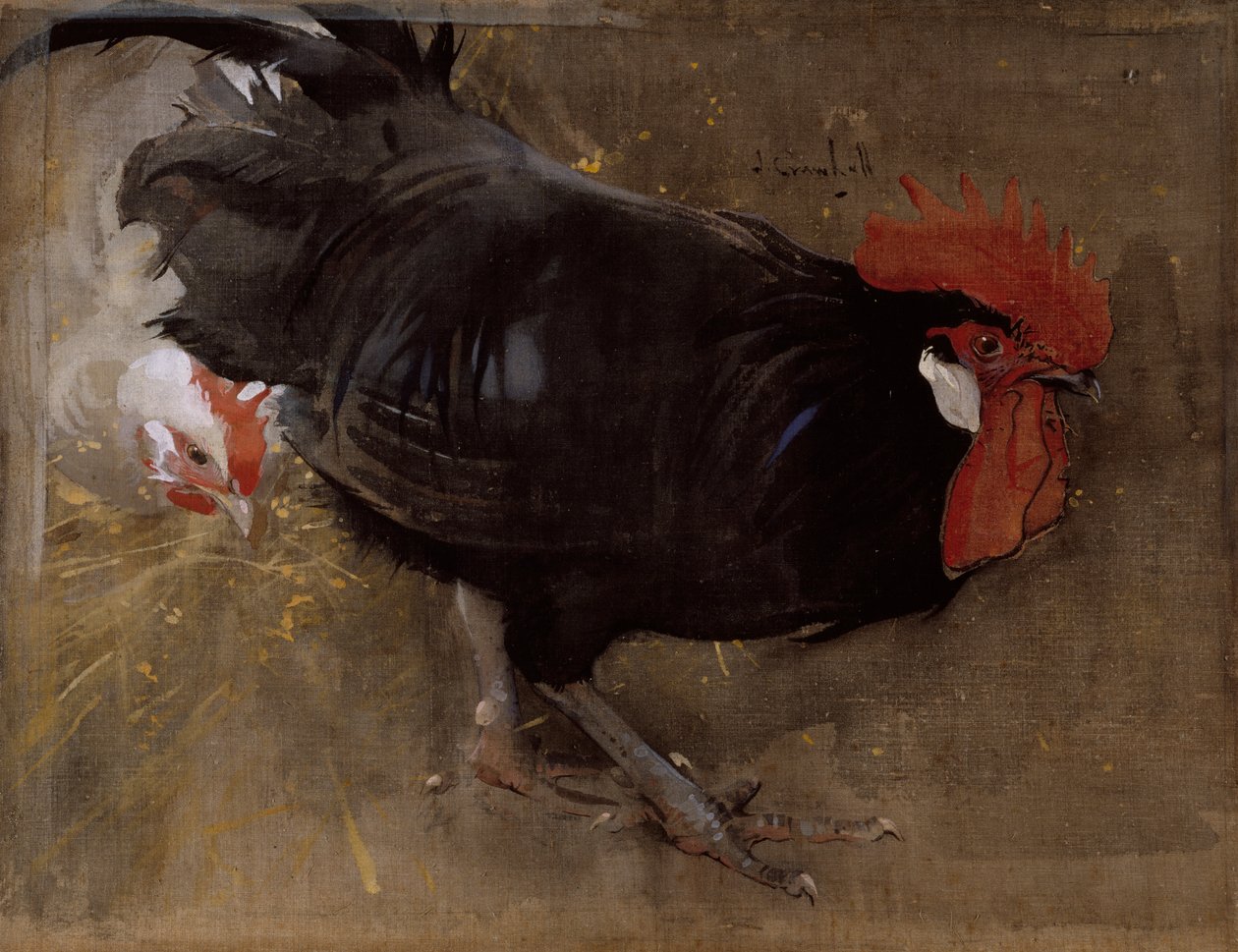 El gallo negro (gouache sobre lino) de Joseph Crawhall