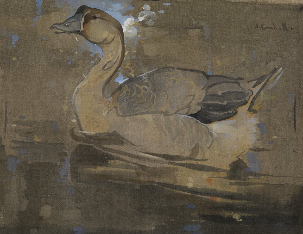 El ganso chino (gouache sobre lino) de Joseph Crawhall