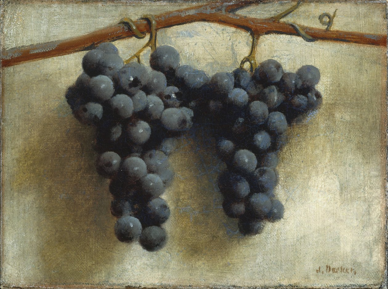 Uvas de Joseph Decker