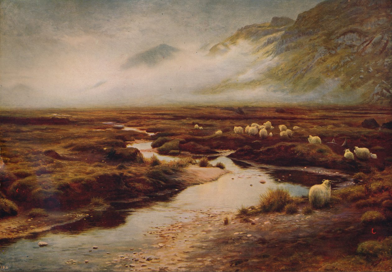 El musgo en Poolewe, 1913, c. 1915 de Joseph Farquharson