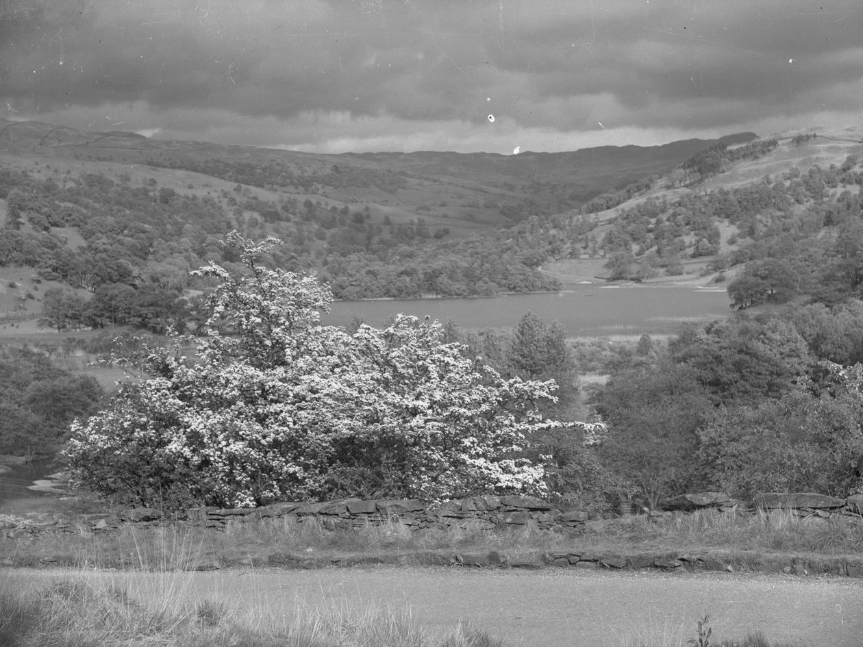 Vista de un lago en Rydal de Joseph Hardman