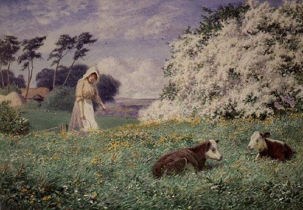 Alimentando a los Terneros de Joseph Kirkpatrick