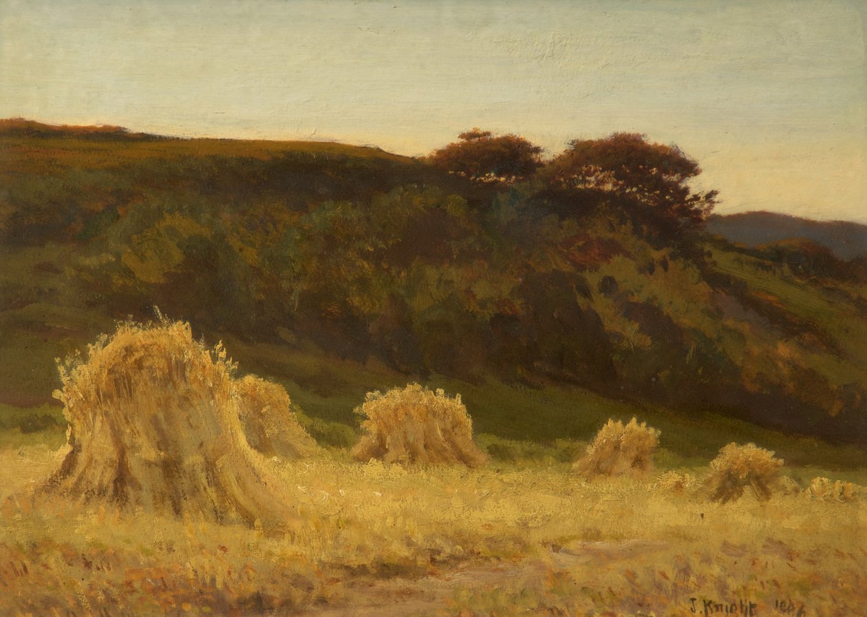 El maizal de Joseph Knight