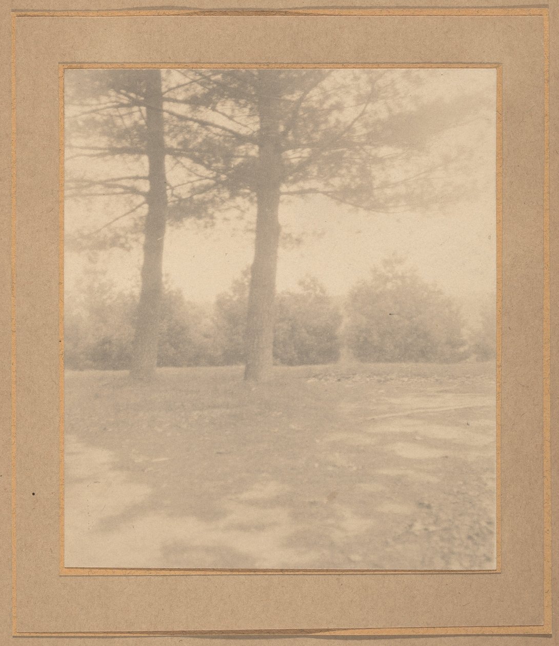 Paisaje con árboles,c. 1900 (foto) de Joseph T. Keiley