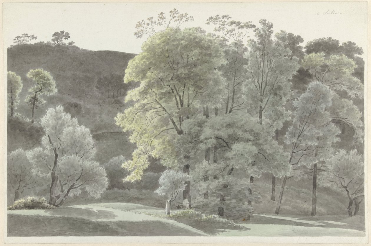 Árboles cerca de Subiaco de Josephus Augustus Knip