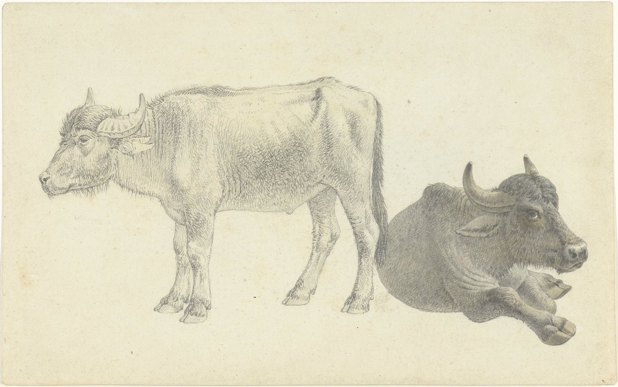 Vaca acostada y de pie de Josephus Augustus Knip