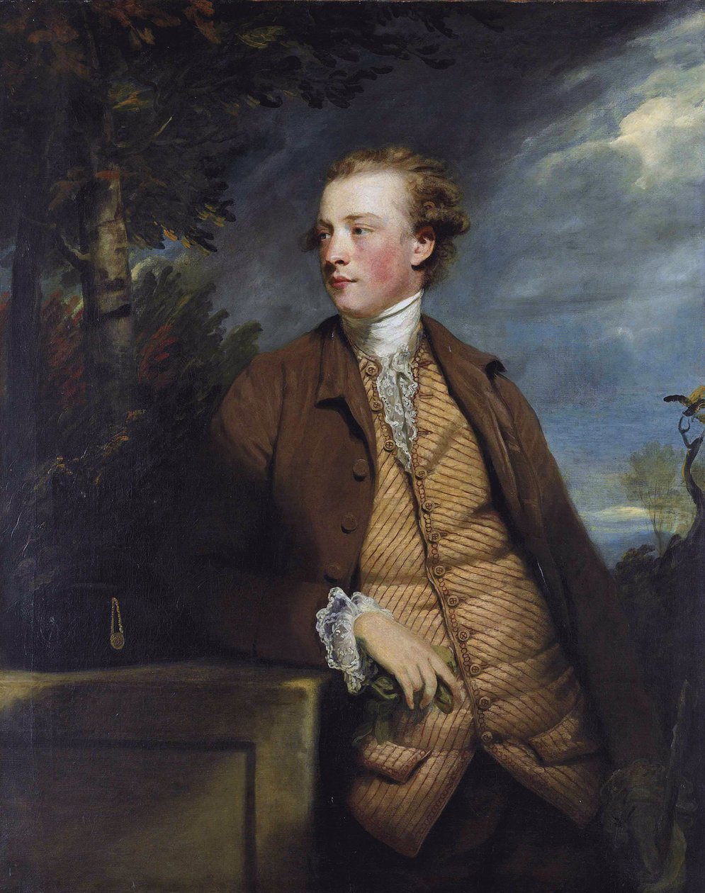 Denis Daly (1747-1791) de Joshua Reynolds