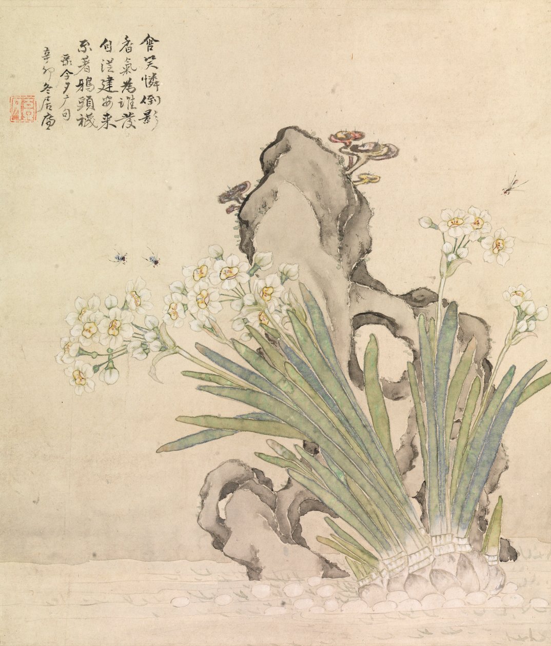 Narciso, Roca, Abejas y Linghzhi de Ju Lian