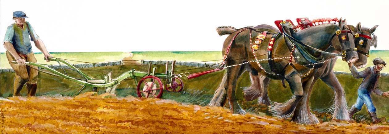 Arando, c. 1830-1900, c. 1990-2010 de Judith Dobie
