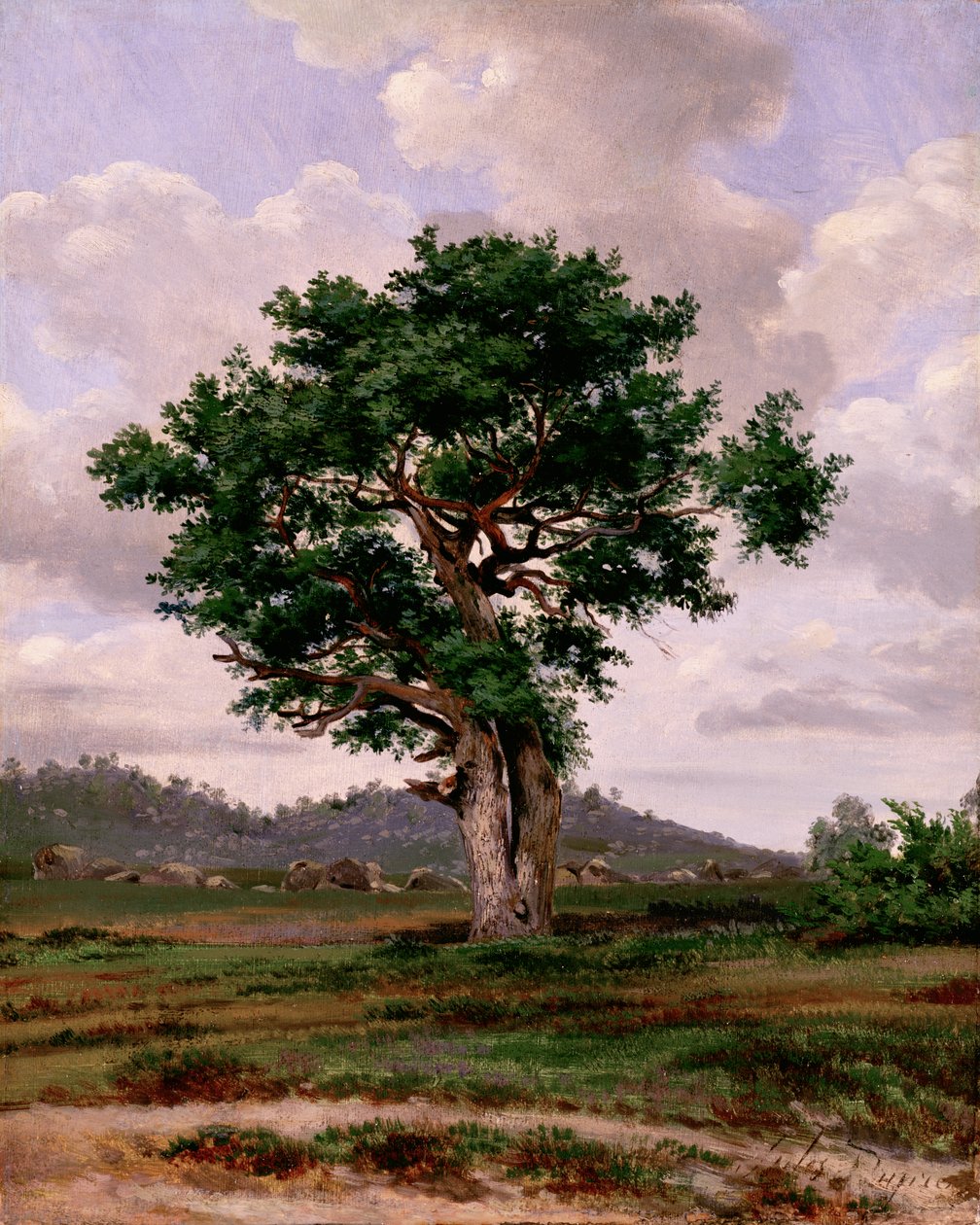 Le Rageur (el irascible) de Jules Dupré