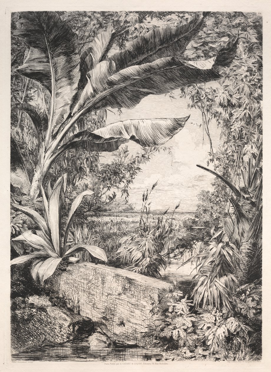 Plantas del Invernadero de Jules Jacquemart