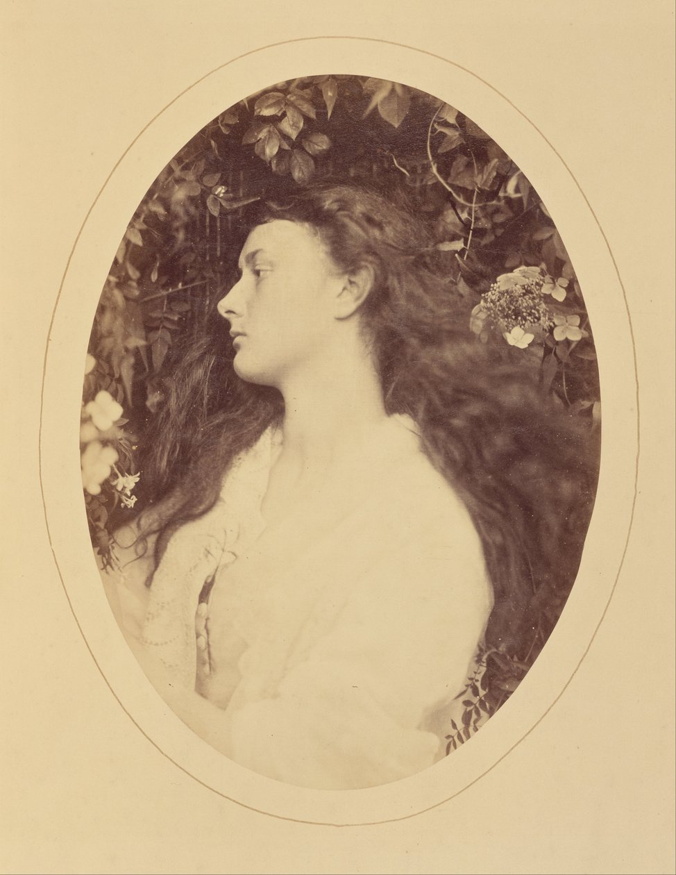 [Alethea] de Julia Margaret Cameron