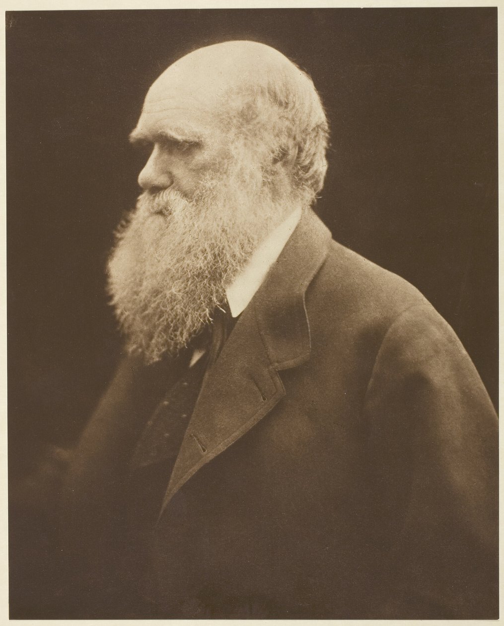 Charles Darwin de Julia Margaret Cameron