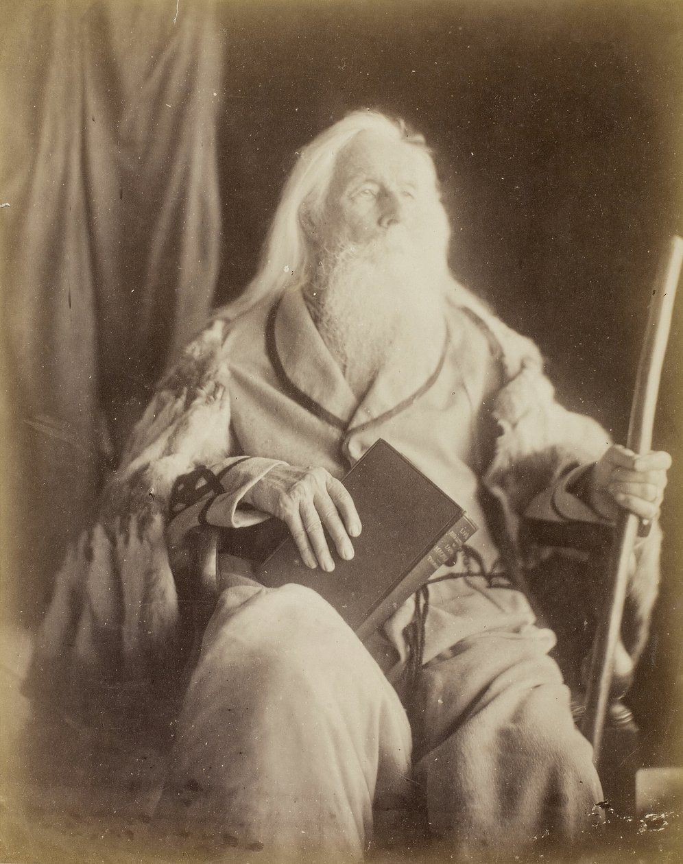 Charles Hay Cameron, 1864-65 de Julia Margaret Cameron