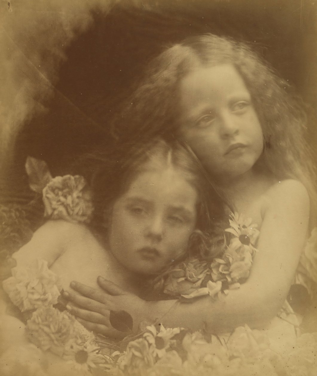 Flores inglesas, 1873 de Julia Margaret Cameron