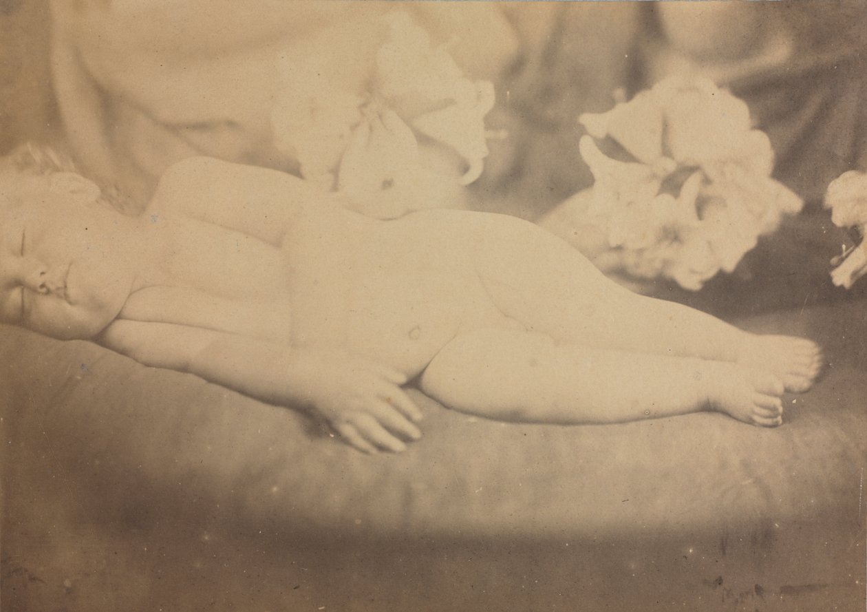 The Lily and the Lamb de Julia Margaret Cameron