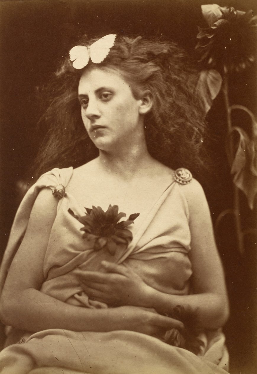 El girasol, principios de 1870 de Julia Margaret Cameron
