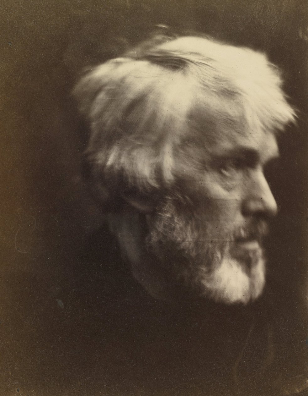 Thomas Carlyle (1795 - 1881) de Julia Margaret Cameron